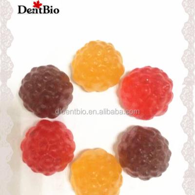 China Sugar Free Fancy Sweet Fruit Jelly Gummy Candy for sale