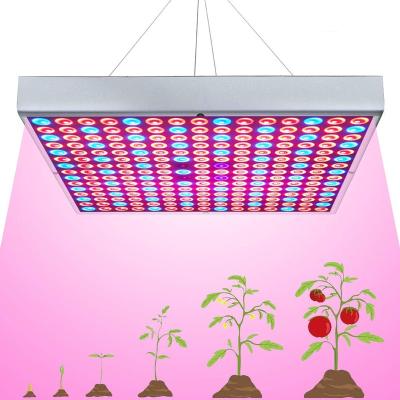 China Seed Starting LED Grow Light, Plant Grow Lights For Indoor Plants Full Spectrum 75W Panel Growing Lamp With Timer For Seedling Veg And Flower for sale