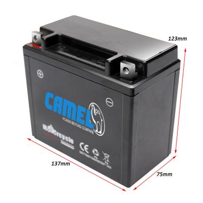 China Maintenance Free Camel Brand Dry Cell Electric Motorcycle Battery 02 (E10) and Storage Battery 12V 7Ah for sale