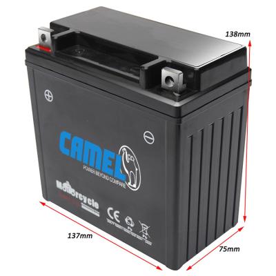 China 6Mf9A Camel Brand Replacement Motorcycle Lead Acid Battery 9Ah Dri Maintenance Free Battery 12V 02 (E10) for sale