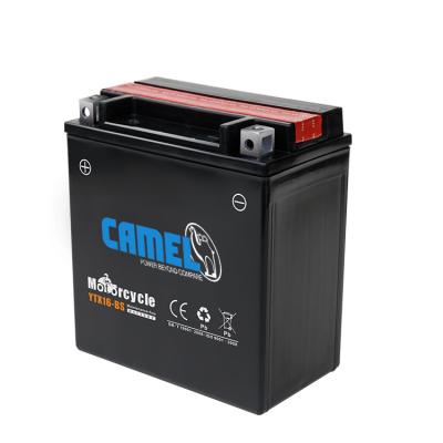 China Camel Brand 14Ah Battery 12V BS Battery Motorcycle Maintenance Free For Victory 02 (E10) for sale