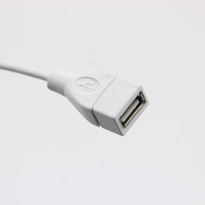 China COMPUTER 1.0 Meter Usb2.0 Cable Usb Extension Cable Standard White Usb Type A Usb Cable For Power Charging And Data Transfer for sale