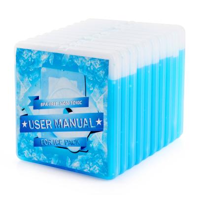 China Food Grade Waterproof Wholesale Ice Cream Freezer Eco - Friendly Ice Packs For Lunch Box for sale