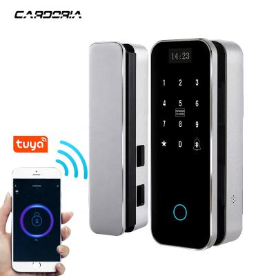 China Glass Door No Need Drilling Holes Fingerprint Electronic Smart Digital Door Lock Cylinder With Tuya APP for sale