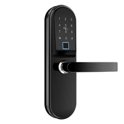 China Remote Delete/Smart Apartment Smart Door Lock Change User Password/Ekey Rfid Stainless Steel Fingerprint Wifi Door Lock/Card Key Card With Ttlock Password for sale