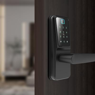 China Wooden Electronic Smart Door/Digital Fingerprint Door Handel Lock Smart Biometric Wifi Apps Smart Lock Prices Ttlock Security Door For Security Home for sale