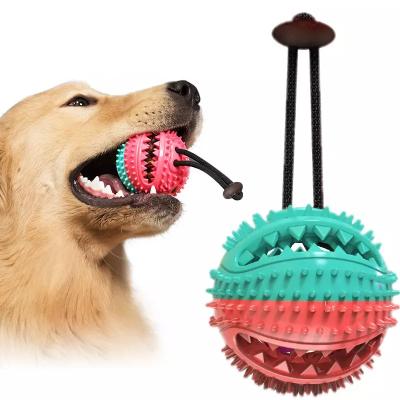 China Dog Treat Automatic Feeding Dog Teeth Cleaning Chewing Toy for sale