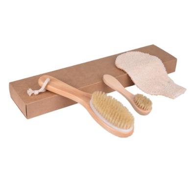 China Hot Selling High Quality Long Handle Women And Men Natural Dry Body Cleansing Wooden Bath Brush Set For Shower for sale