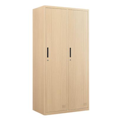 China (Height) Two Doors Adjustable Printing Steel Transfer Wardrobe Closet Bedroom Furniture for sale