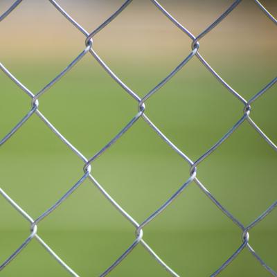 China Easily Assembled Dimand Mesh Fence From Chinese BHA for sale