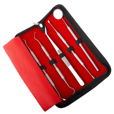 China Eco - Friendly Stainless Steel Dental Hygiene Kit 5pcs Dental Instruments For Oral Care for sale