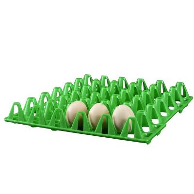 China Supplier pp recyclable green professional plastic egg tray plastic cartons for sale for egg transfer 29*29*5cm plastic egg tray for sale