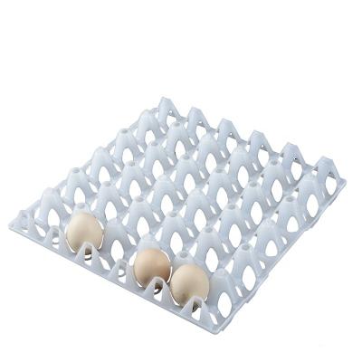 China Recyclable Low Price Wholesale White Colored Plastic Egg Tray 30 Egg Tray 30 Holes For Sale Packing Egg For Transportation for sale