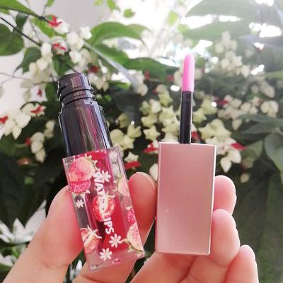 China Waterproof Color Changing Moisturizing Baby Fruit Transparent Clear Lips Oil Makeup Pink Liquid Lipstick Organic Glossy Lip Gloss for sale