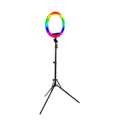 China PORTABLE High Quality Rechargeable Selfie RGB Ring Light With Stand for sale