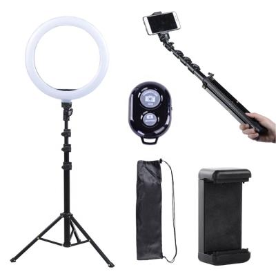 China PORTABLE hot sales fashion professional selfie led ring video light with stand for sale