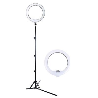 China Hot Sale PORTABLE LED Circle Selfie Light with Safe and Durable Tripod Ring Light for sale