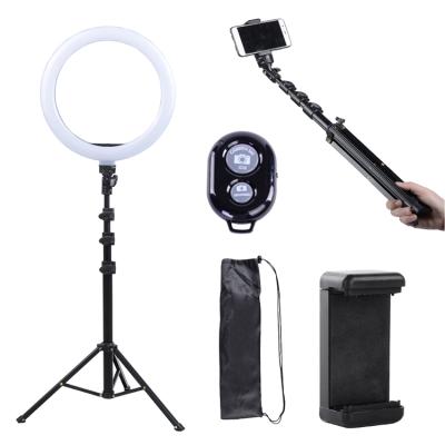 China Cheap Price High Quality Custom Made PORTABLE Selfie Ring Light LED Ring Light with Tripod Stand for sale