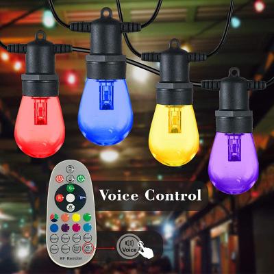 China Waterproof Outdoor LANDSCAPE String Light Multi Color LED Landscape Lighting Party Light With Remote Control for sale