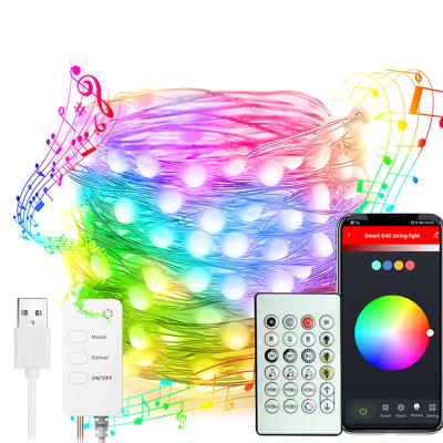 China Amazon Hot Selling Portable Led Light Copper Wire String Tuya Smart App Controlled 5m/16.4ft USB Powered Christmas Tree Decoration Lights for sale