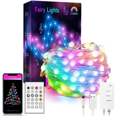 China Portable Wifi Smart String Led Outdoor Lights Garland Decorating Multicolor Fairy Lights for sale