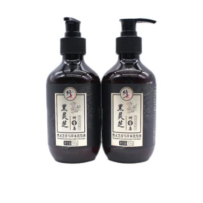 China Customized free black shampoo luxury wholesale private label ganoderma extract regenerating and care for sale