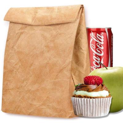 China Recyclable Custom foldable Eco reusable waterproof insulated cooler freezable brown paper tyvek lunch bag for women man for sale