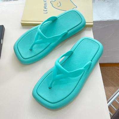 China Trendy NT14 fashion trend Central Institute of Statistics south Korean anti slip outdoor fairy in summer flip flops slippers for sale