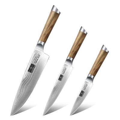 China HOSHANHO Morden Stainless Steel 5Cr15mov Kitchen 3 Pcs Sustainable Luxury High Carbon Chef Knife Set for sale