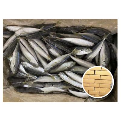 China NATURE High Quality Small Eyes Saurels 160 - 200 Pcs/Kg Frozen for sale