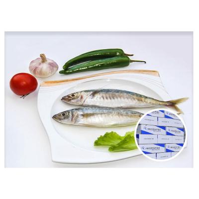 China NATURE 8-10 small frozen mackerel for sale for sale