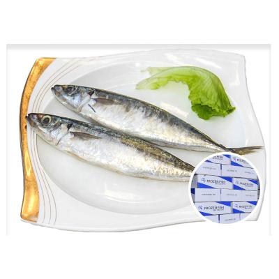 China Frozen NATURE Layang Mackerel Scads Frozen Round Fish Iqf Scad for sale