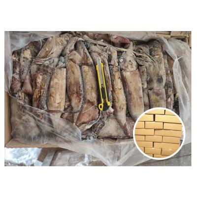 China Nutrient Carton Packing Plastic Bags Packing Frozen Indian Squid for sale