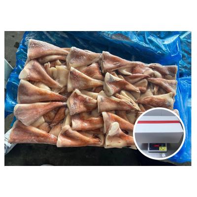 China Nutritious Hot Sale Seafood Giant Squid Tail Tip Frozen Squid Tai for sale