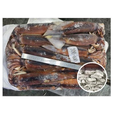 China Nutritious Wholesale All Round BQF Squid Whole Size Illex Squid Customizable Fish Squid for sale