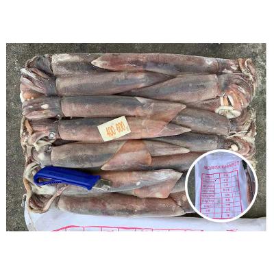 China Fruit Jigger Argentina Nutritious Sea Illex Catch Frozen Squid Calamari Frozen Squid for sale