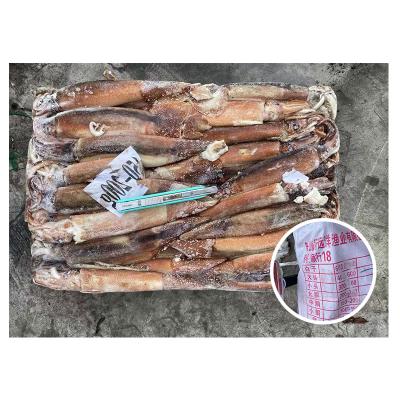 China Nutritious All Size Illex Argentina Frozen Squid Whole Seafood Calamari Squid for sale