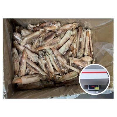 China Good Quality IQF Nutritious Japanese Frozen Squid 40-80g Todarodes Pacificus Todarodes Squid for sale