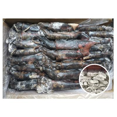 China Nutritious High Protein Cleaned Black Squid Black Skin Seafood Loligo Black Squid Iqf Todarodes Frozen Squid Fish for sale