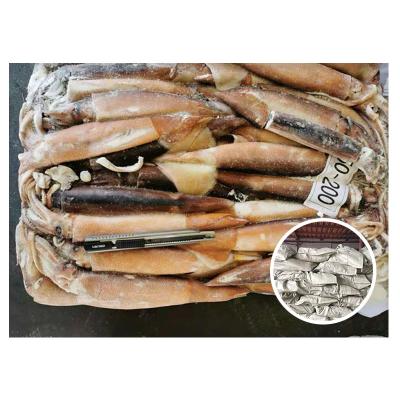 China Wholesale Japanese Squid Seafood High Quality Frozen Whole Round Nutritious Frozen Fish Squid In Woven Bag for sale