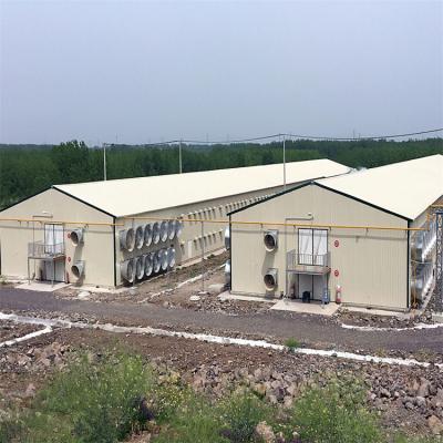 China Chicken house Low cost modern steel structure prefab poultry farming shed building egg chicken farm house for sale