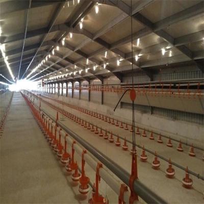 China Chicken House Steel Frame Warehouse Layer Chicken Farm Construction Poultry House For 10000 Chickens for sale