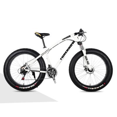 China Hot Sale Steel Snowmobile 26/20 Inch Double Disc Brake Snow Mountain Fat Tire Beach Tire Variable Speed ​​Bike for sale