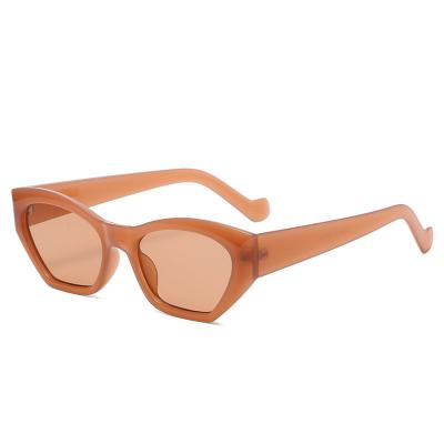 China Fashion sunglasses factory high quality fashionable sunglasses 2022 neon sunglasses wholesale directly for sale