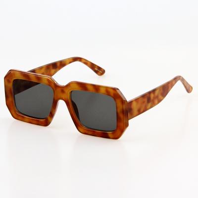 China Fashion sunglasses 2022 high quality special promotion unisex sunglasses colorful design sunglasses for sale