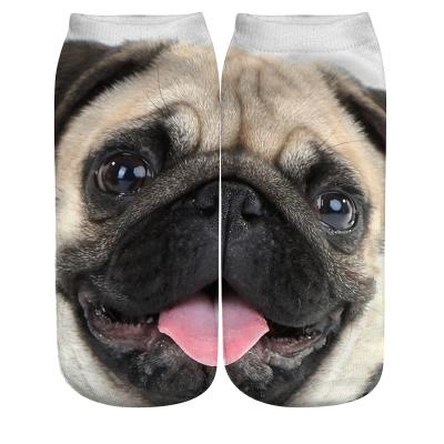 China OEM Novelty 3D Designer Cat Dog Ankle Fancy Animal Print QUICK DRY Sublimation Custom Unisex Socks For Wholesale for sale