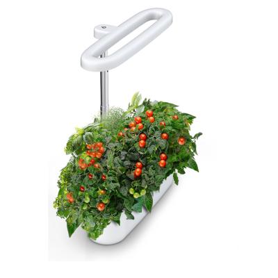 China Easily assembled BAVAGREEN 8 country fresh always safe plants grow at a time to grow in water no soil no mess made simple small garden for sale