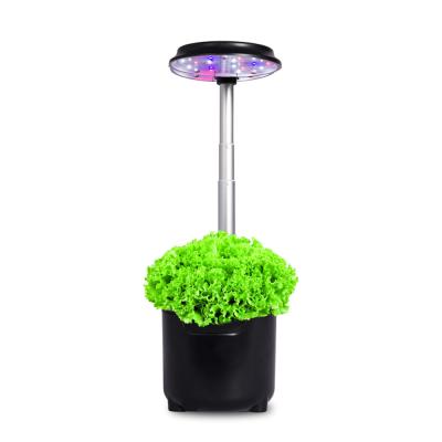 China Easily Assembled Hydroponics System Growing Indoor Green Table and Live Plant Table for Home and Office Indoor Plants for sale