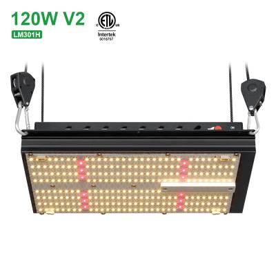 China Seed starting indoor 120W pre-assembled veg and flower led grow lamp 3000K 3500K Samsung LM301H mix Oslon plant 660nm red light for sale