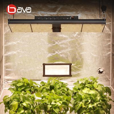 China BAVA Plant Light Kit Seed Starting Full Spectrum Grow Lamp 288 lm301b 3000K 3500K 4000K 240w Samsung led grow lamp with meanwell driver for sale